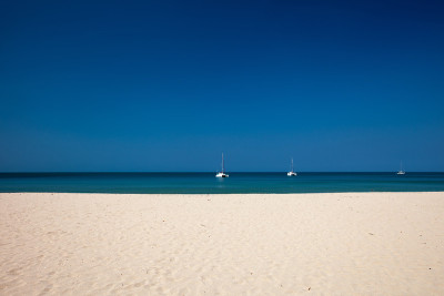 海