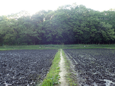 Noyamakita-Rokudoyama公园- Musashimurayama,东京