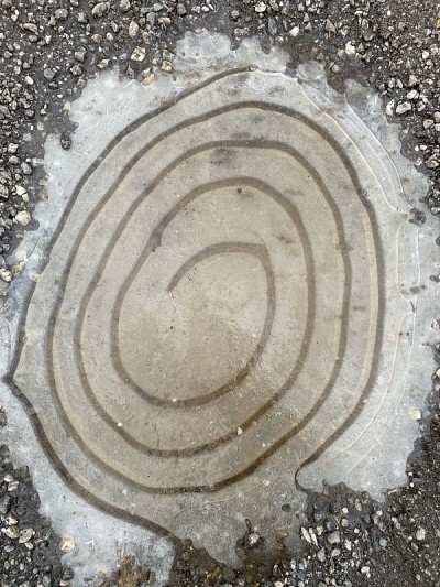 提洛尔