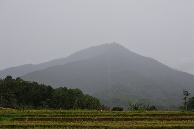 印度尼西亚巴厘岛的Jatiluwih Rice Terrace。巴厘岛塔巴南的自然风光。前景是群山和