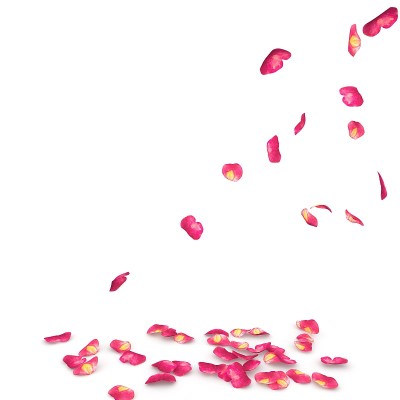 玫瑰花瓣散落在地板上