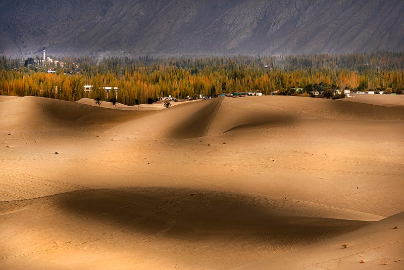 秋天的风景，秋天的树木在山上