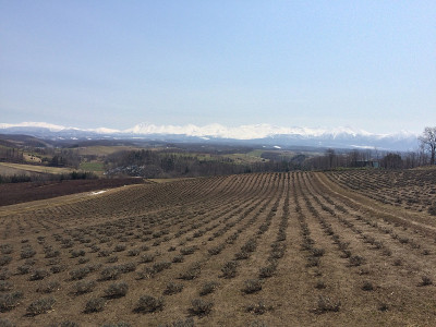 北海道的风景