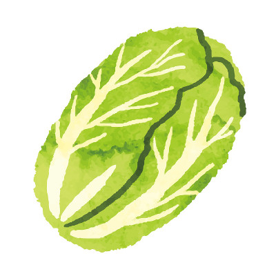 水彩大白菜的插画材料