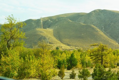 山