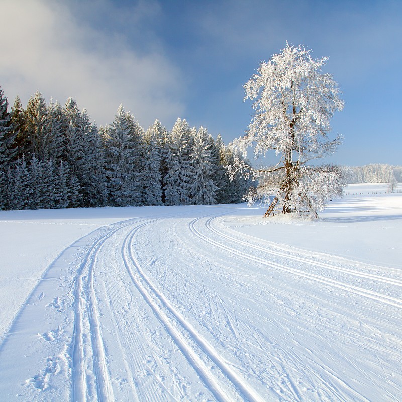 越野滑雪道