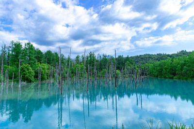 北海道的夏季美景