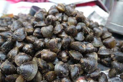 淡水蛤(又名Corbiculacea)