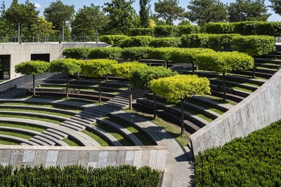 在公共景观城市公园“克拉斯诺达尔”或“加利西亚公园”的阶梯圆形剧场上形成的橡树。用于娱乐、散步和运动