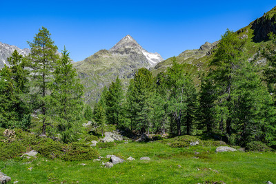 欧洲奥地利蒂罗尔东蒂罗尔田园诗般的夏季山地景观