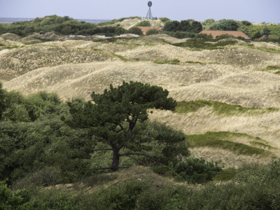 insel