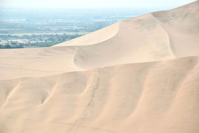 风景在Huacachina