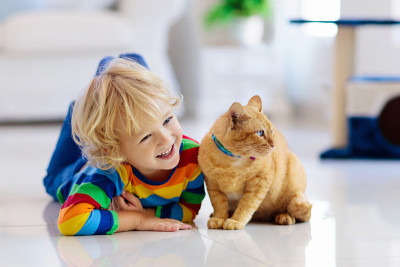 孩子在家里和猫玩。孩子和宠物。