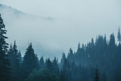 雾山景观