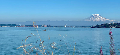 雷尼尔山