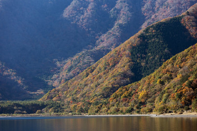 元津湖秋叶的颜色