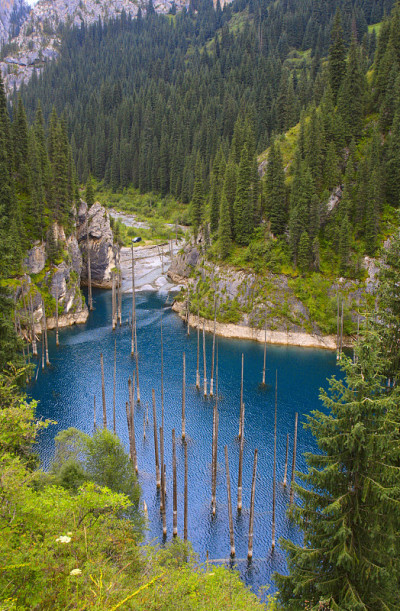 山和湖
