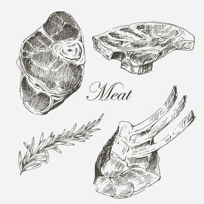 矢量牛排肉手绘与胡椒和迷迭香。详细的