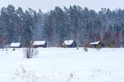 冬季的乡村景观在一场大雪。暴雪。
