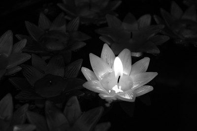 荷花蜡烛