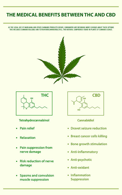 THC和CBD之间的医疗效益垂直信息图表
