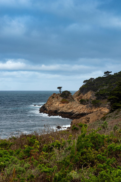 Point Lobos州立公园的海景和柏树