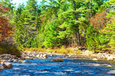 秋日Swift River