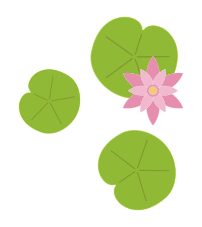 荷叶花