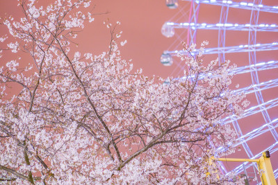 横滨