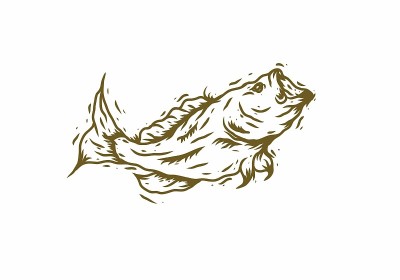 大鲈鱼插画设计