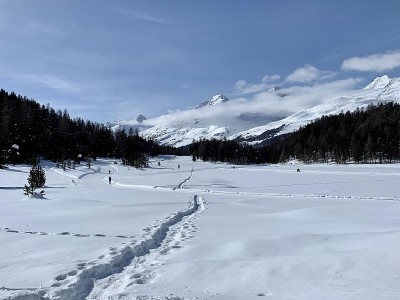 庞特雷斯纳和圣莫里茨之间的越野滑雪道