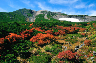 长野，日本，秋的色调