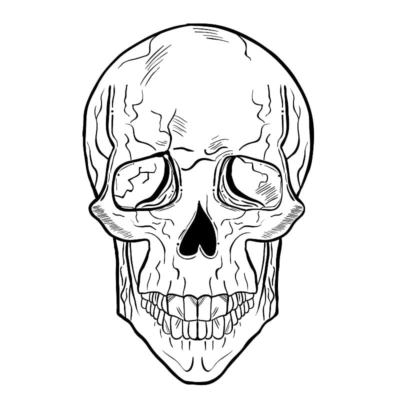 一个头骨的手绘插图。哥特式纹身艺术风格。