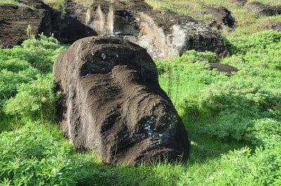 近距离观察拉诺拉库火山口内的摩埃石像头
