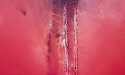 粉红色盐湖全景