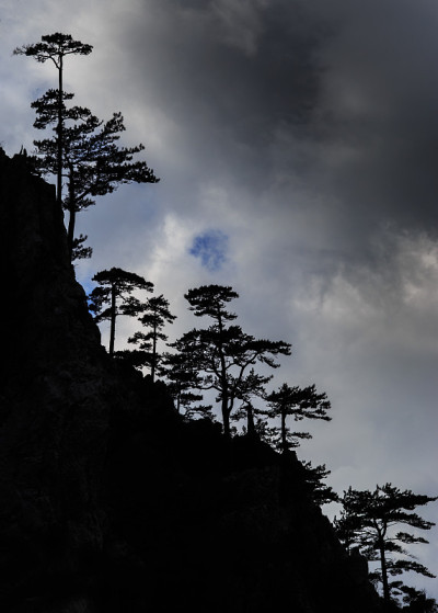 山景与黑色的松树剪影和暴风雨的天空