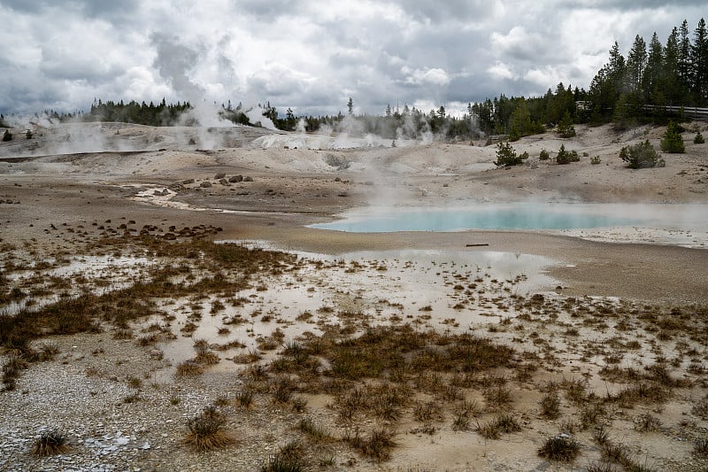 黄石国家公园诺里斯间歇泉盆地沿途的火山风景