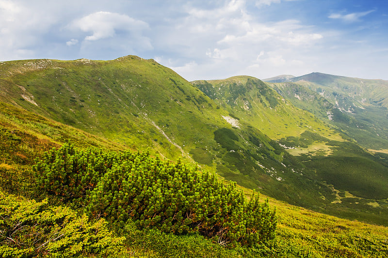 绿色山谷景观