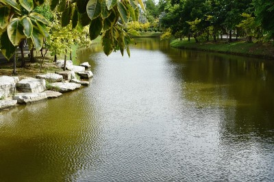 公园里有湖和树