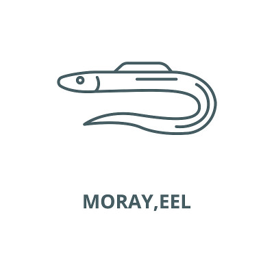 Moray,eel vector line icon, linear concept, outlin