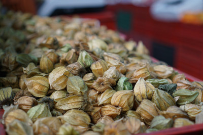 帕洛克茂市场上的醋栗(乌丘瓦)果