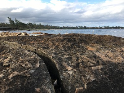 夏威夷考艾岛的春天Hikinaakala Heiau。