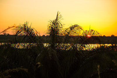 亚马逊神秘日落景观，Rondônia，巴西
