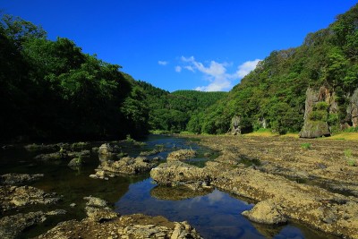 岩手县夏季山溪