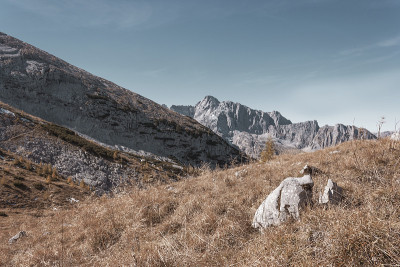 Bayerische阿尔卑斯山