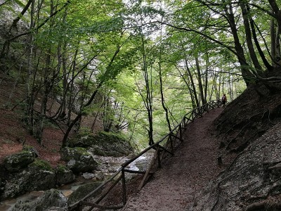 从仙女瀑布的山峰路