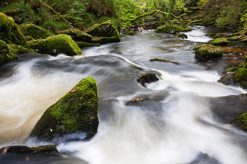 Golitha Falls，英格兰康沃尔郡