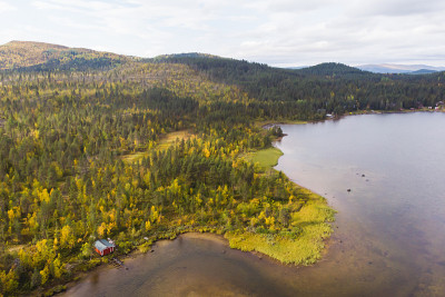 瑞典的秋天充满活力的景观，在Norrbotten县的Kurravaara，基律纳市，瑞典北部