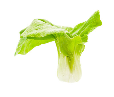 绿色的白菜