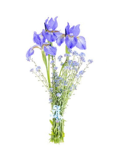 一小束蓝色的花园花。照片